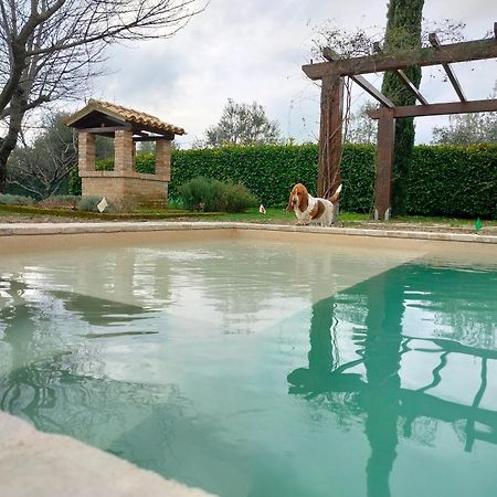 Ca' Le Cerque, Villa Surrounded By The Marche Nature Fossombrone Ngoại thất bức ảnh